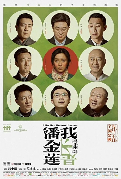 Я не мадам Бовари (2016)